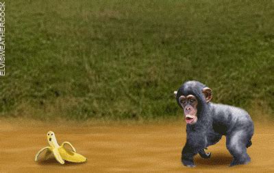 Animasi gambar gif bergerak lucu-lucu banget | Funny gif, Funny animal ...