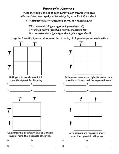 Punnett+Square+Worksheets | Punnett square activity, Punnett squares ...