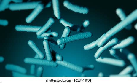 Probiotic Lactobacilli Under Microscope Scientific 3d Stock ...