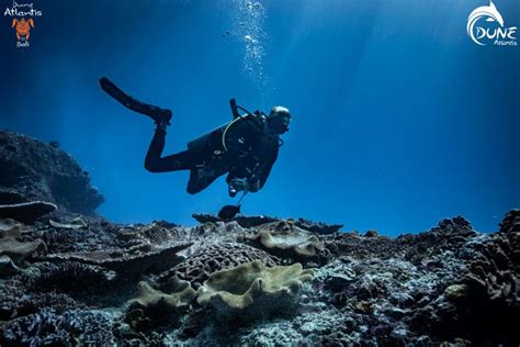 3 Types of Diving on Labuan Bajo Tour | Massautomation-global