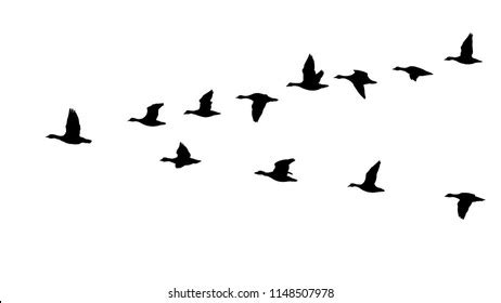 Flock Of Geese Clipart