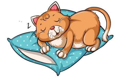 A Cat Taking A Nap Solitary Felis F Catus Vector, Solitary, Felis, F ...