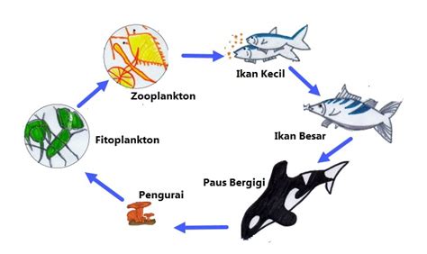 Membuat Teks Nonfiksi Tentang Ekosistem | Mikirbae