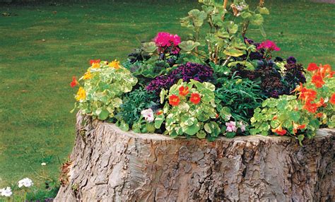 How To Create a Tree-Stump Planter - This Old House