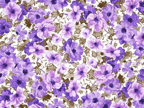 Floral illustrations Design - Floral Patterns - Flower Paintings ...