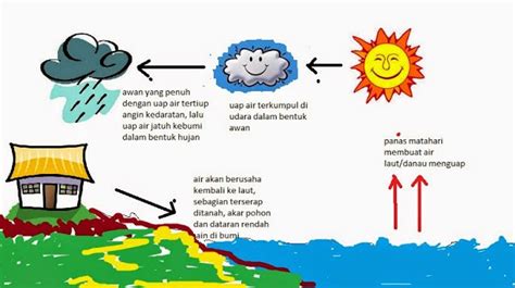 siklus hidrologi - Google Search | Siklus air, Hujan, Peta bergambar