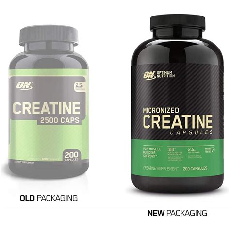 Optimum Nutrition Creatine Powder Vs Capsules | Besto Blog