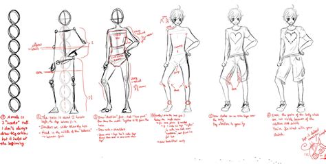 TUTORIAL: Male Proportions by Haneynozuka on DeviantArt