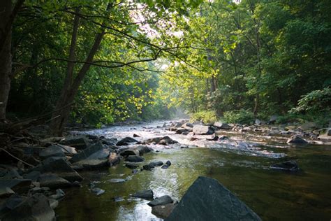 Hiking, Fishing and More at These Patuxent River Parks | The Wayside Inn