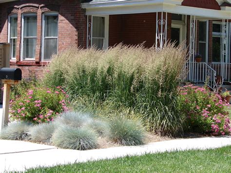 Ornamental Grass Spacing: How Far Apart Should You Plant? – Craftsmumship