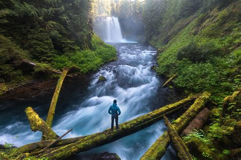 Restoring America's large forest landscapes - American Forests