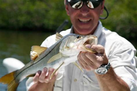 Complete Guide to Baits and Lures for Snook Fishing - FishFinder HQ