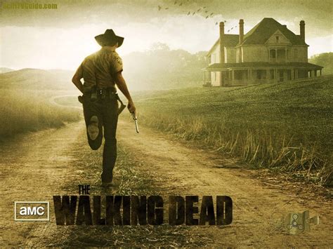 Walking Dead Season 2 Poster Wallpaper - 775332