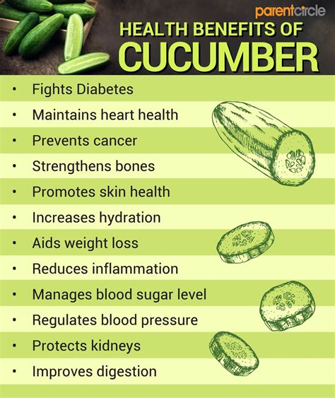 Cucumber Health Benefits, Cucumber Nutrition Values & Facts, Types of ...