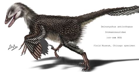 Deinonychus antirrhopus by DragosAndrei on DeviantArt