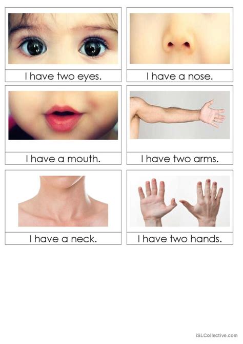 body parts flashcards vocabulary fla…: English ESL worksheets pdf & doc