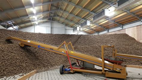 Long term potato storage in The Netherlands | Mooij Agro