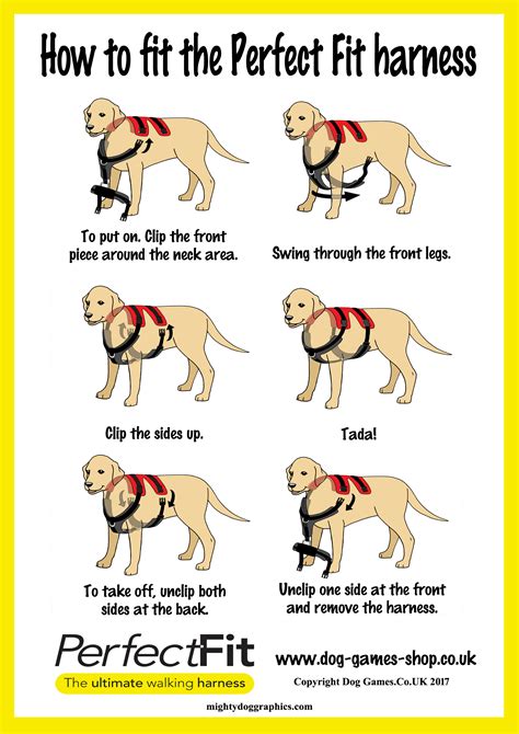 How Do You Measure A Dog For A Perfect Fit Harness