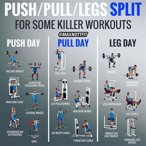 Inner Leg Workout, Push Workout, Full Body Workout Routine, Workout ...