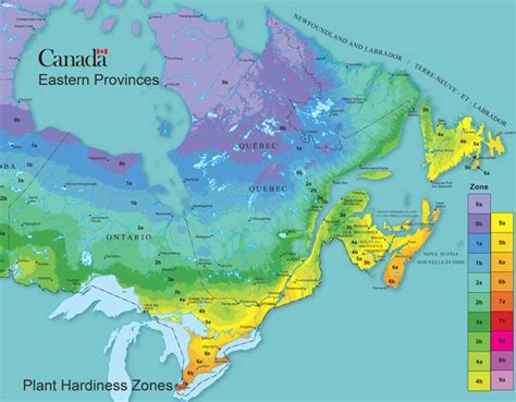 How to Find Your Canadian Plant Hardiness Zone — Empress of Dirt