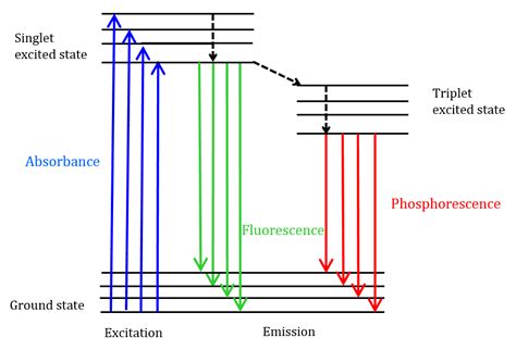 Fluorescence Spectroscopy Theory | JASCO