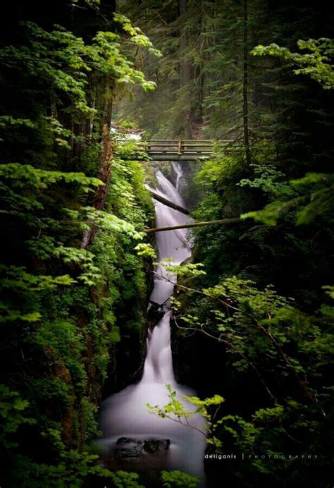 Olympic national Park Washington | American national parks, Beautiful ...