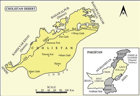 Floristic Composition of the Plants of the Cholistan Desert, Pakistan