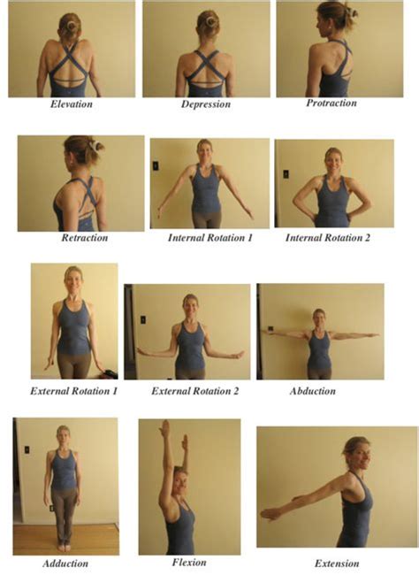 Range of motion exercises - molionestop