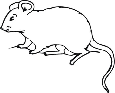 Starry-niitez: Coloring Pages For Kids Mice