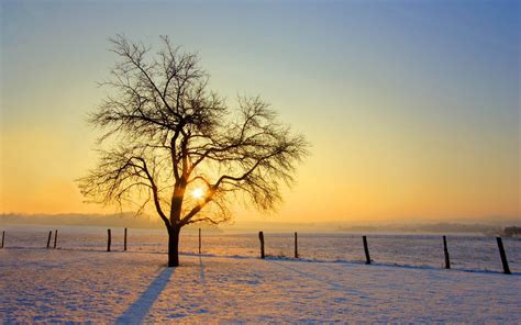 🔥 [90+] Winter Sunrise Wallpapers | WallpaperSafari