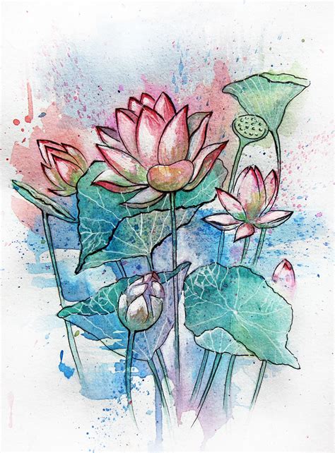 Water Lilies Illustration Watercolor @anastasiamas | Lilies drawing ...