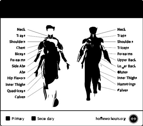 Dumbbell Shoulder Shrug - How To Do Properly & Muscles Worked