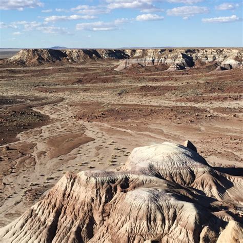 Petrified Forest & Painted Desert