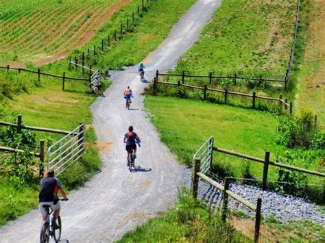 Virginia Creeper Trail - Bike Rentals and Shuttle Service