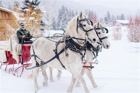 Texas Travel Files — Where to Book Holiday Horse Drawn Sleigh Rides