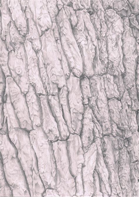 Tree bark by josephinebruce on DeviantArt