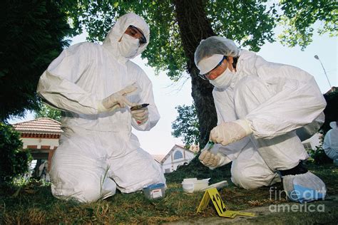 Forensics Officers At A Crime Scene Photograph by Philippe Psaila ...