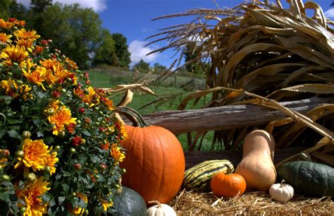 Fall Harvest Festival | Forsythe Family Farms