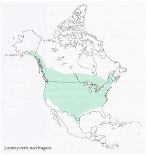 Lasionycteris noctivagans range map; Silver-Haired Bat