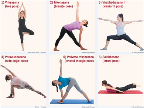 Yoga Asanas Names With Pictures And Benefits In Marathi | Blog Dandk