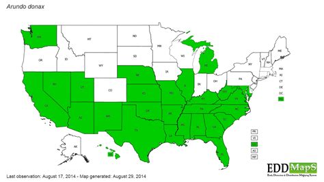 giant reed (Arundo donax) - EDDMapS State Distribution