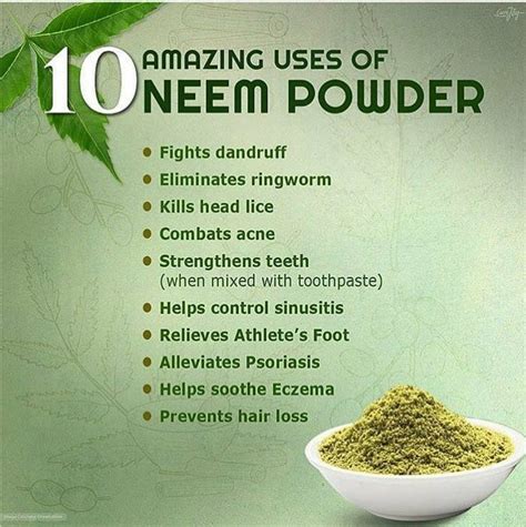 10 Amazing Uses of Neem Powder | Neem powder, Healthy mind and body, Neem