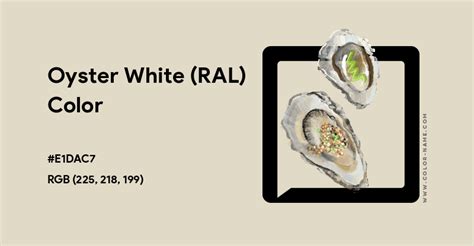 Oyster White (RAL) color hex code is #E1DAC7