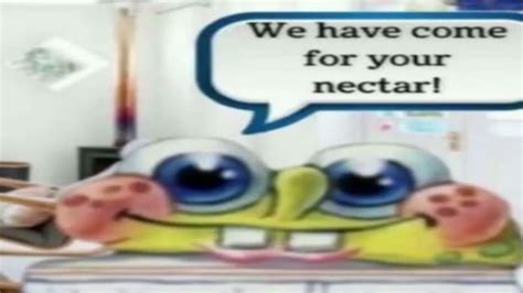 We have come for your nectar - YouTube