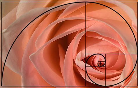 The Golden Ratio | Jueves Filosofico