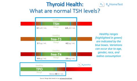 Normal TSH Levels: What’s Normal & Why? | RxHomeTest: At-Home Health Tests