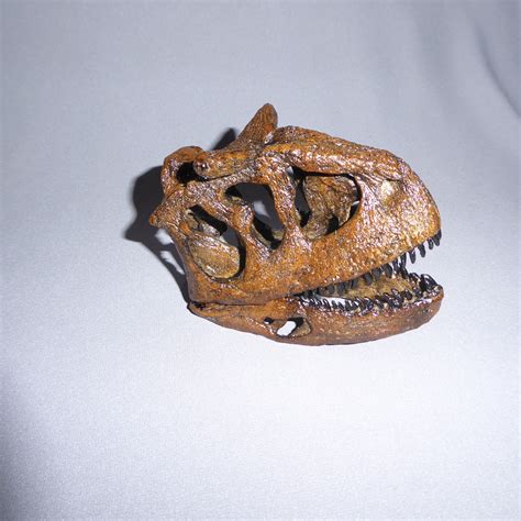 Carnotaurus Skull 1:8 Scale - SkeletonsAndSkullsSuperstore