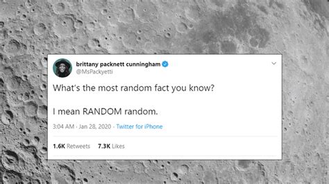 People Are Sharing The Most Random Facts They Know, And They're Amazing ...