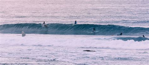 Surfing Lessons, New Smyrna Beach, Nichols Surf Shop - Nichols Surf Shop