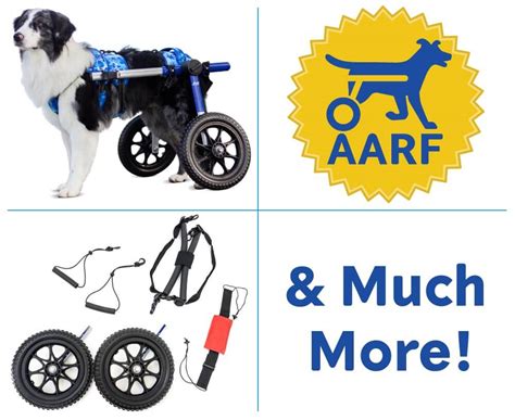 Dog Wheelchair | Wheels for Dogs | Walkin' Wheels | Walkin' Pets